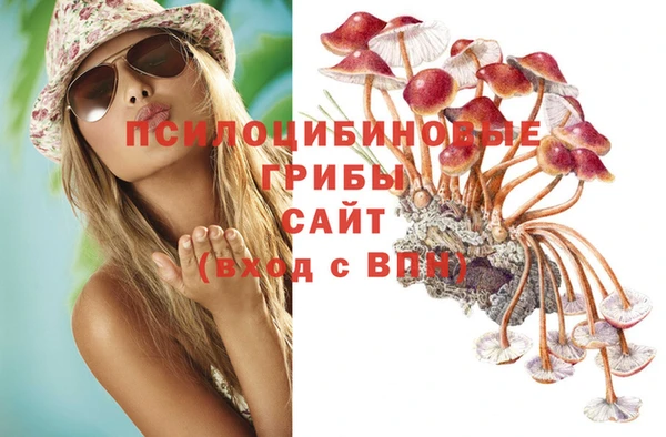 spice Гусь-Хрустальный
