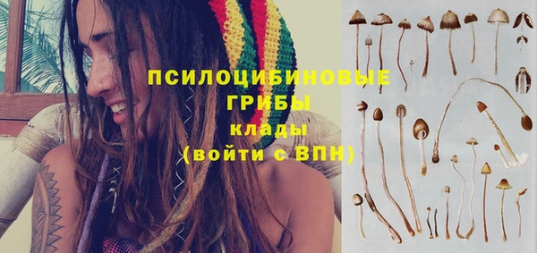 кокаин Щигры