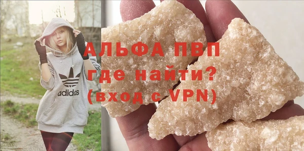 ГАЛЛЮЦИНОГЕННЫЕ ГРИБЫ Щучье