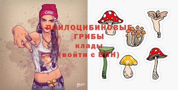 мескалин Гусев